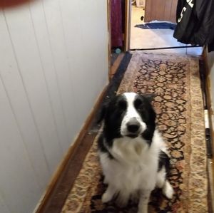 Meet your Posher, Ron